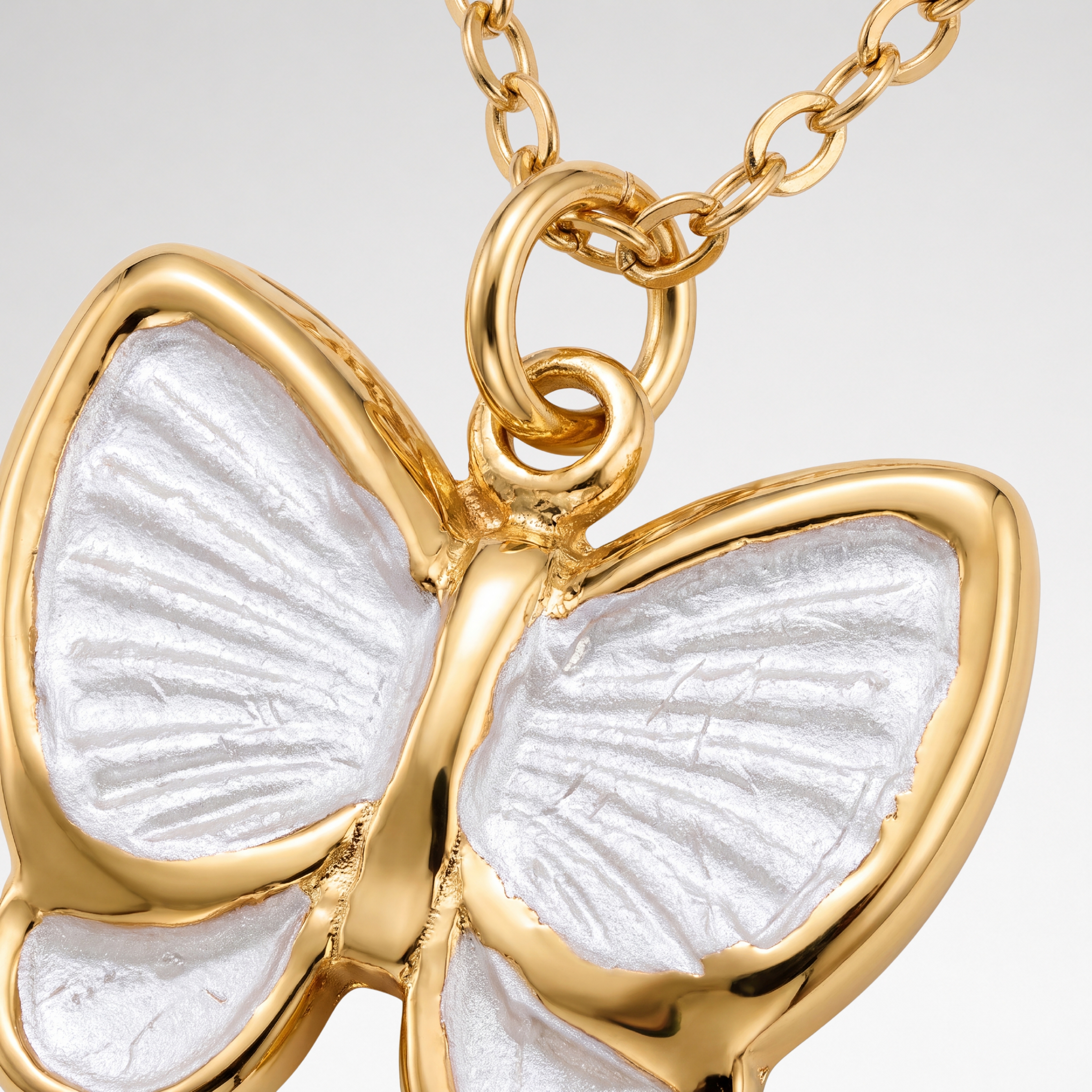 Papillon - Image 4
