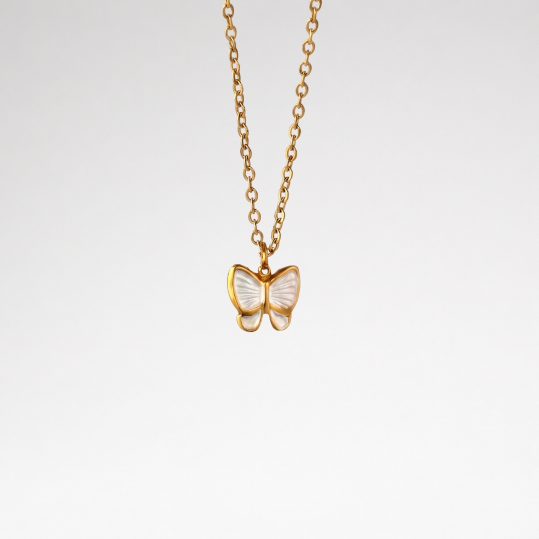 Papillon - Image 3